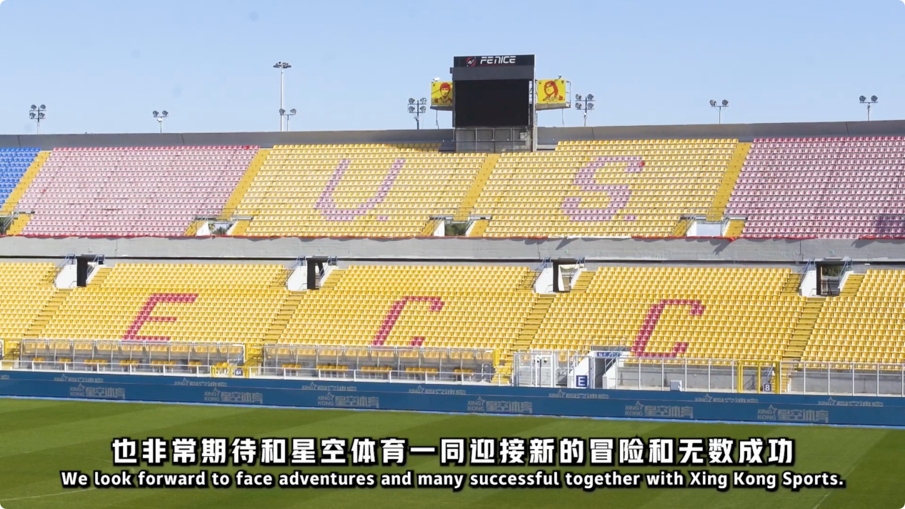 们的表现令
