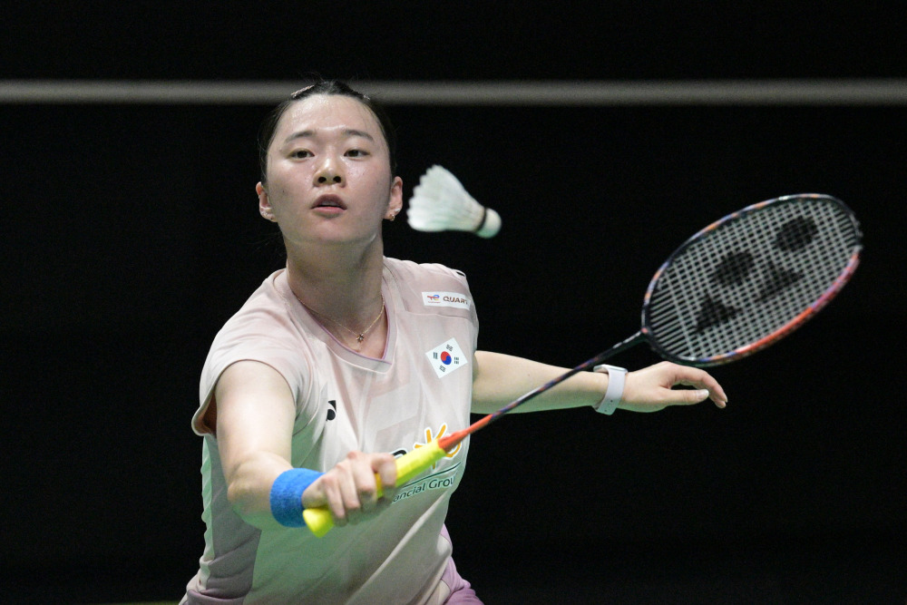 在德甲的赛 在德甲的赛