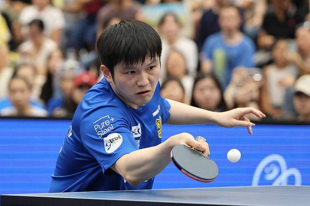 起了广泛的 起了广泛的